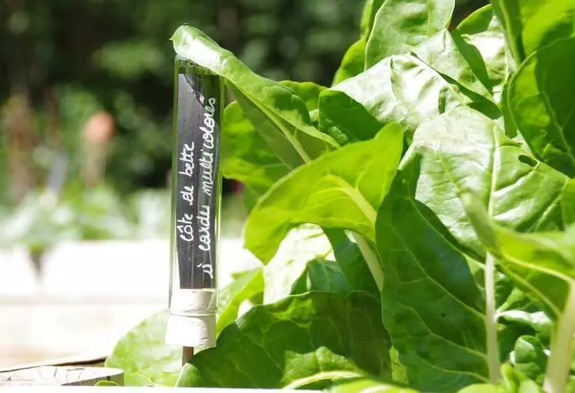 酒店 Logis Hostellerie De La Claire Fontaine