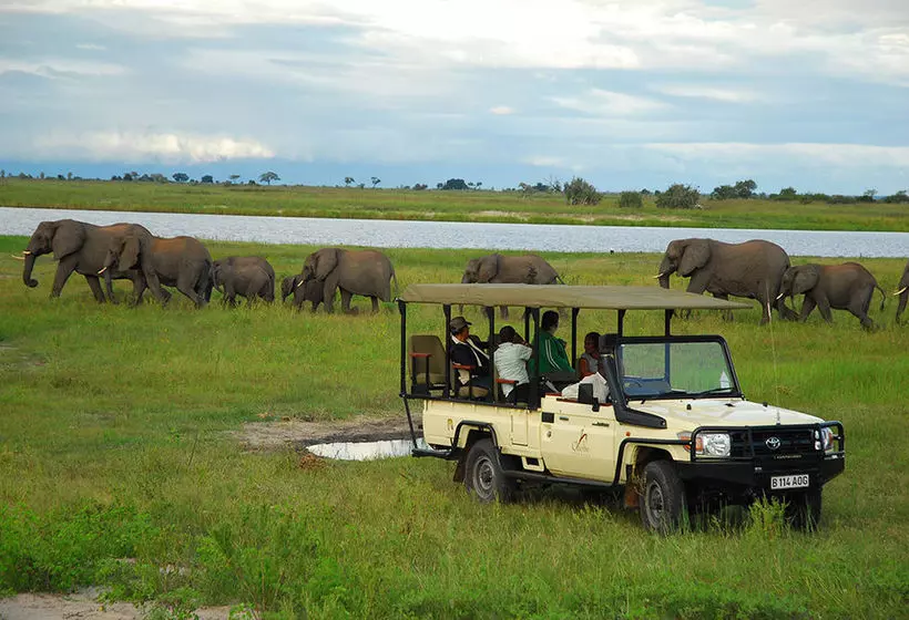 هتل Chobe Chilwero