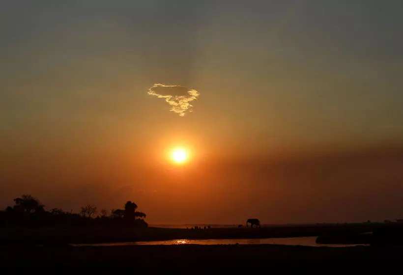 هتل Chobe Chilwero