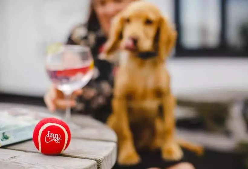 酒店 Inn On The Coast