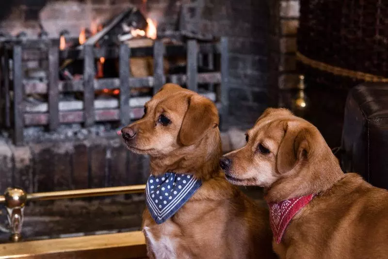 酒店 Cringletie House