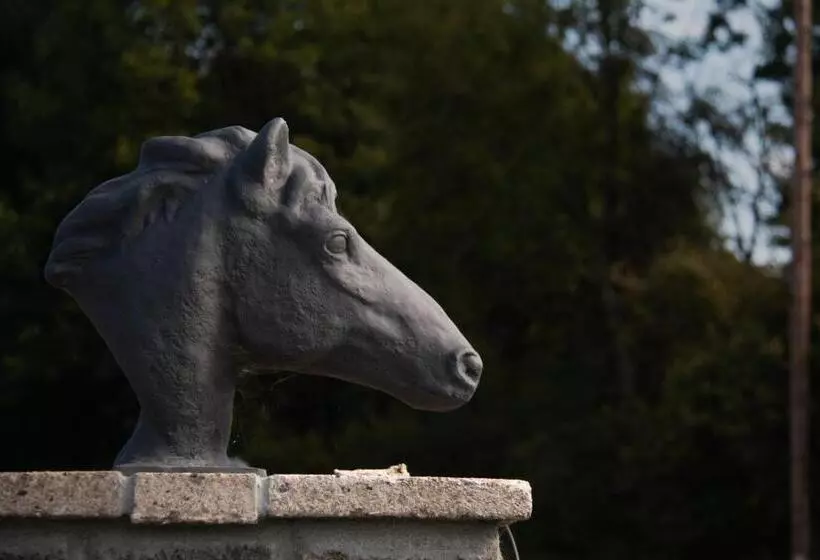 酒店 Dartmoor Lodge