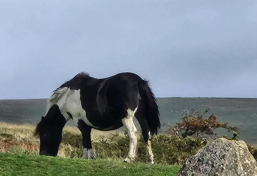 酒店 Dartmoor Lodge