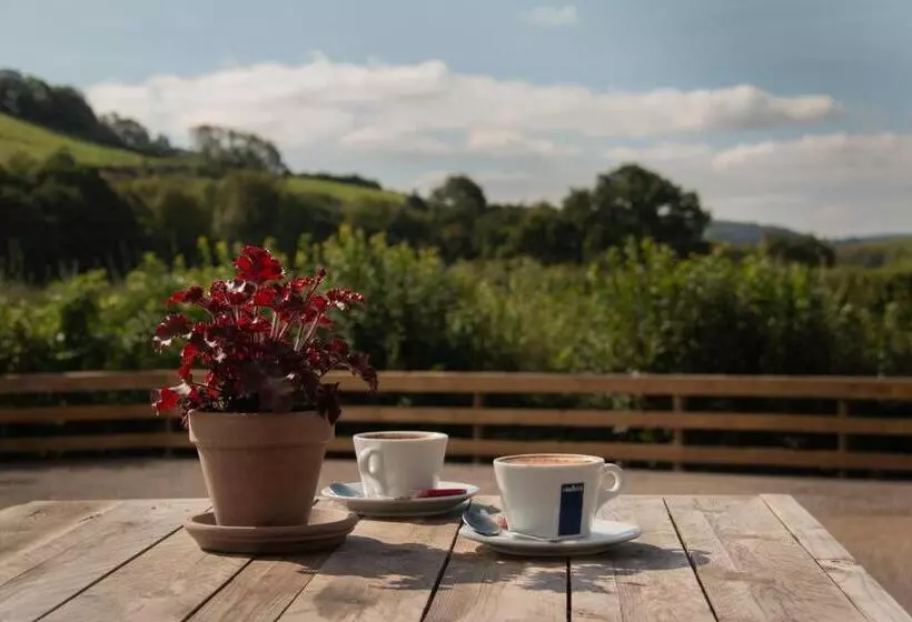 酒店 Dartmoor Lodge