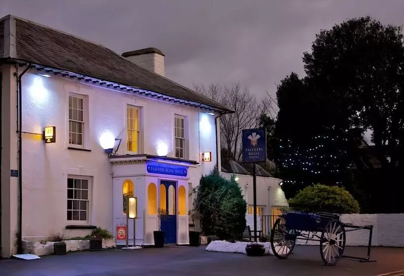 ホテル Feathers Royal