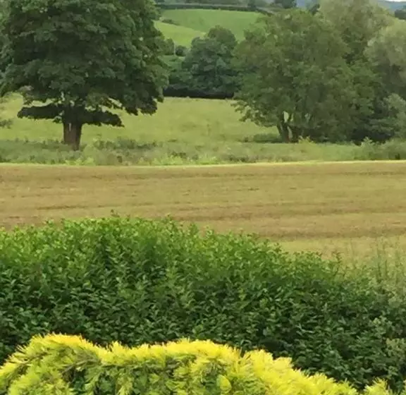 호텔 Greyhound Country Inn