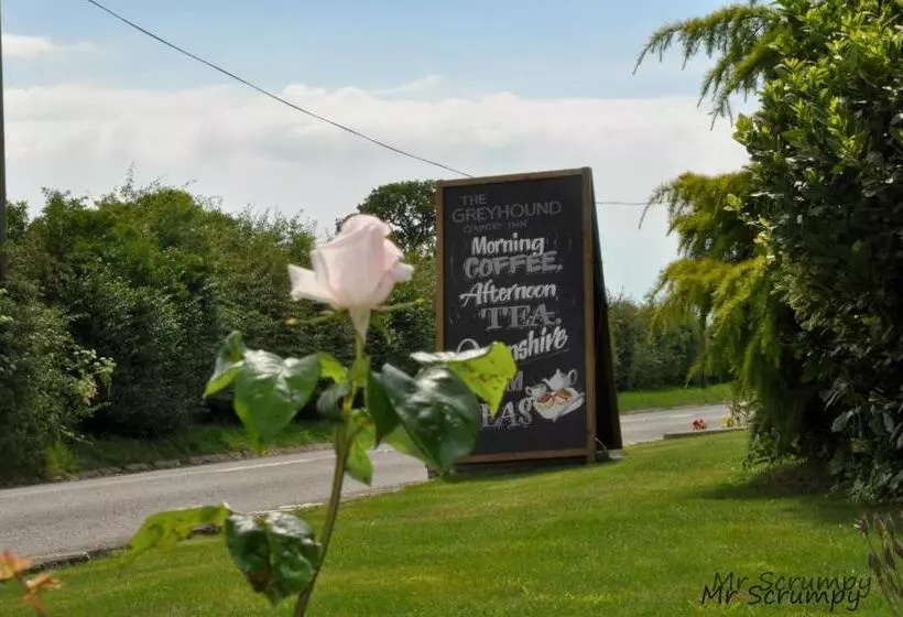 호텔 Greyhound Country Inn