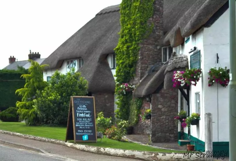 호텔 Greyhound Country Inn