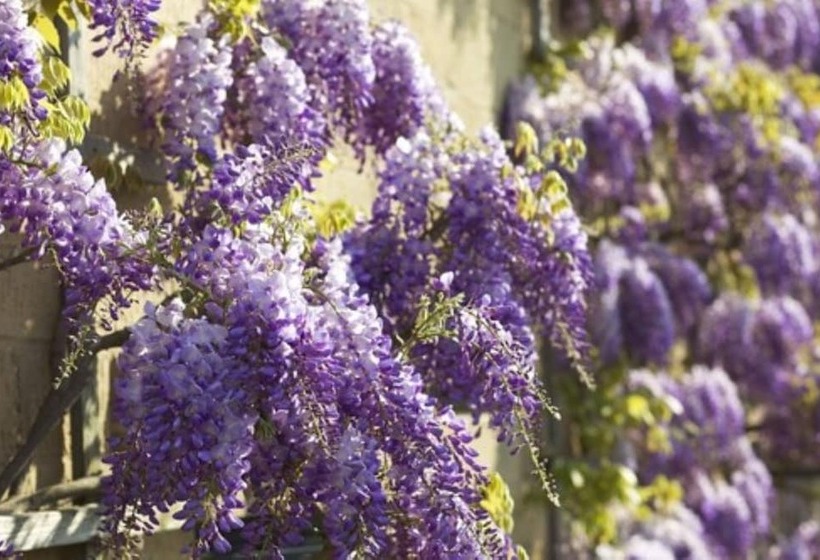 ホテル The Broadway