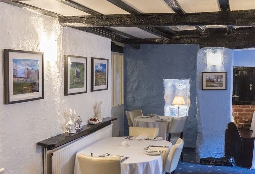 فندق Gwesty Minffordd