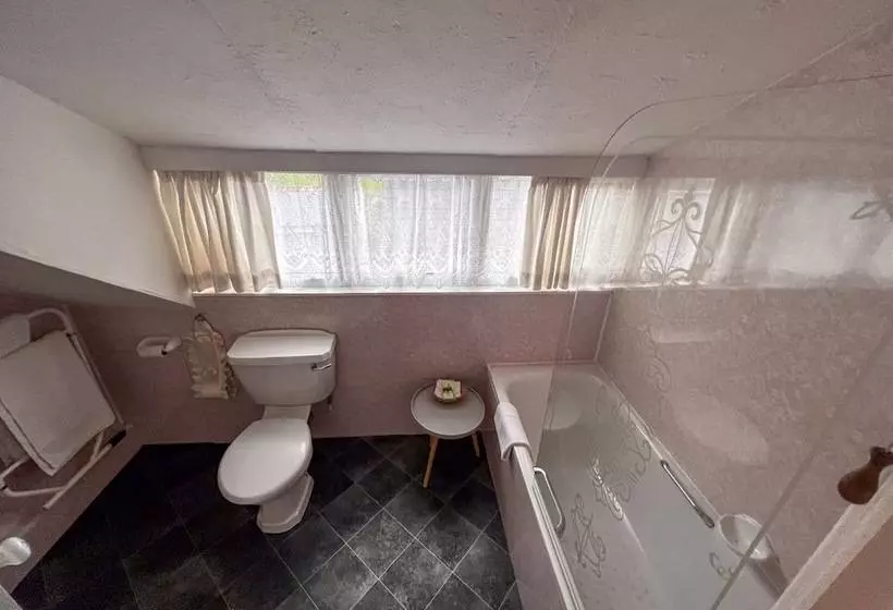 فندق Gwesty Minffordd