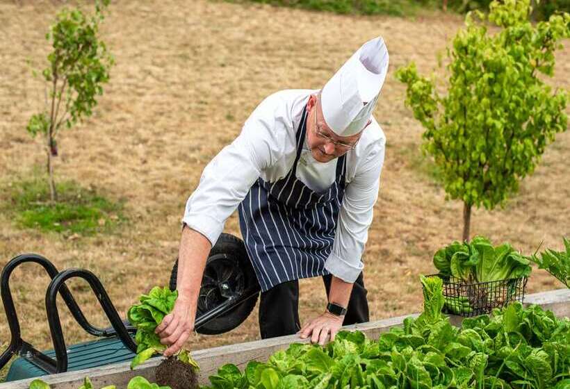 فندق Hilton London Heathrow Airport