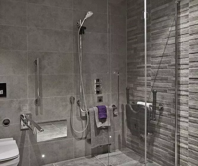 酒店 Old Palace Lodge