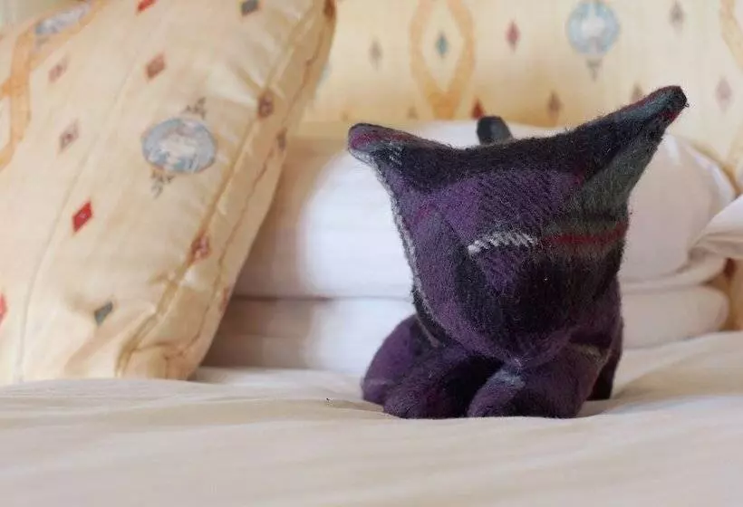 בית מלון כפרי Mansfield Castle