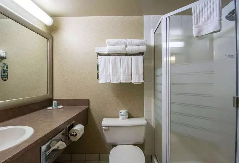 בית מלון כפרי Comfort Inn & Suites Airport South