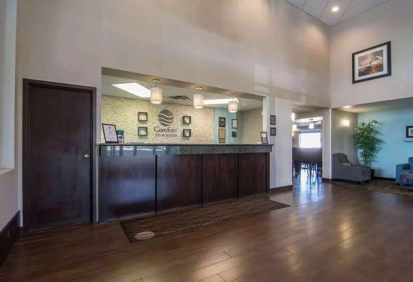 בית מלון כפרי Comfort Inn & Suites Airport South