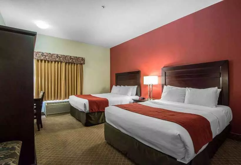 בית מלון כפרי Comfort Inn & Suites Airport South