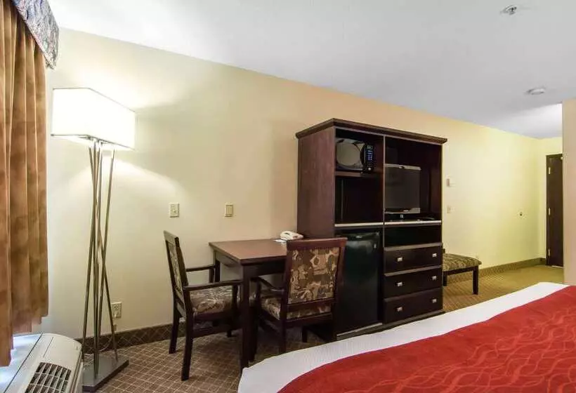 בית מלון כפרי Comfort Inn & Suites Airport South