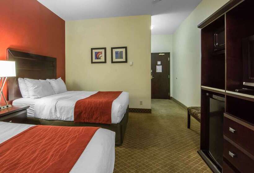 هتل Comfort Inn & Suites Airport South
