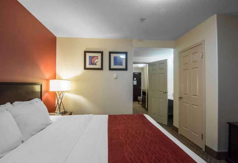 هتل Comfort Inn & Suites Airport South