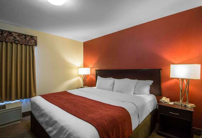 هتل Comfort Inn & Suites Airport South