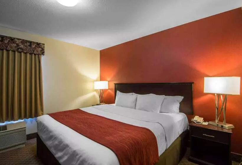 בית מלון כפרי Comfort Inn & Suites Airport South