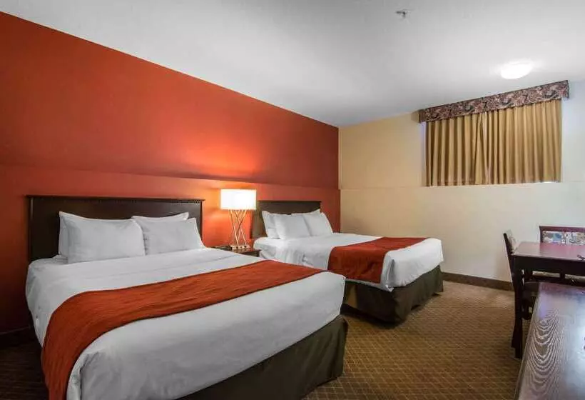 בית מלון כפרי Comfort Inn & Suites Airport South