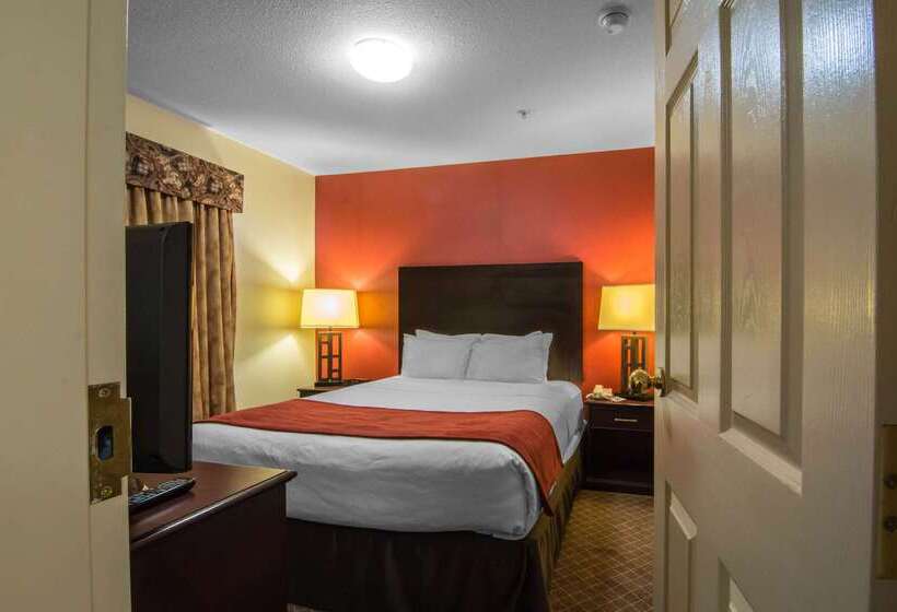 هتل Comfort Inn & Suites Airport South