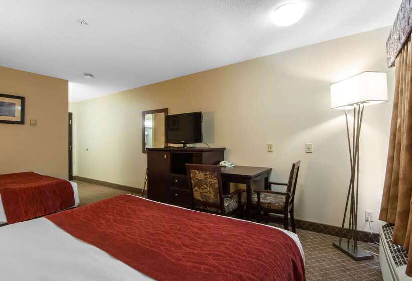 هتل Comfort Inn & Suites Airport South