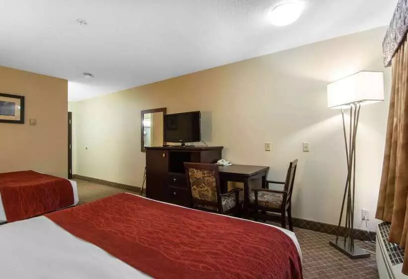 בית מלון כפרי Comfort Inn & Suites Airport South