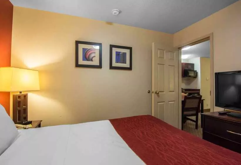 בית מלון כפרי Comfort Inn & Suites Airport South