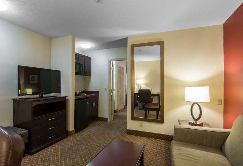 هتل Comfort Inn & Suites Airport South