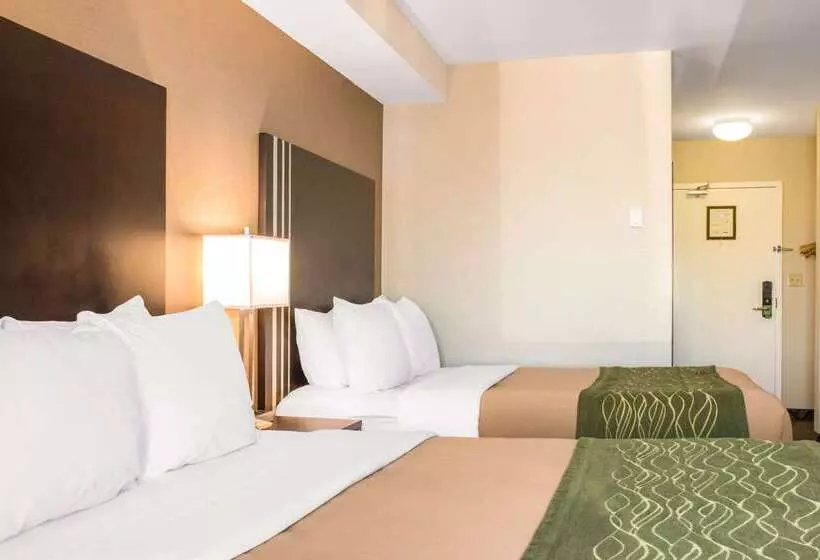 ホテル Comfort Inn