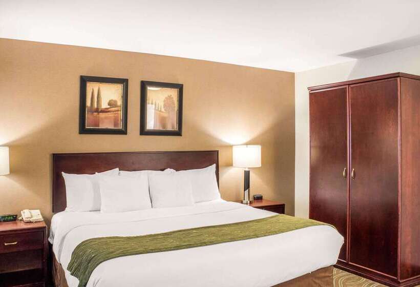 فندق Comfort Inn