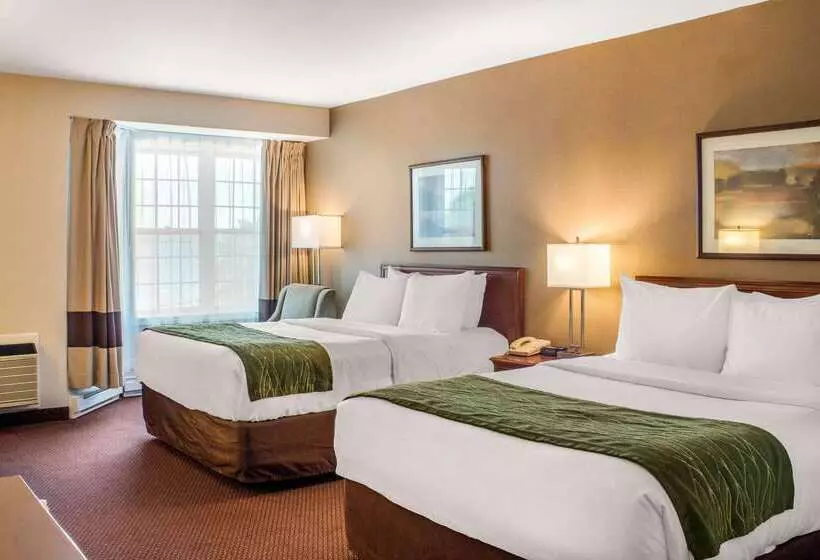 ホテル Comfort Inn