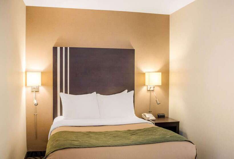 فندق Comfort Inn