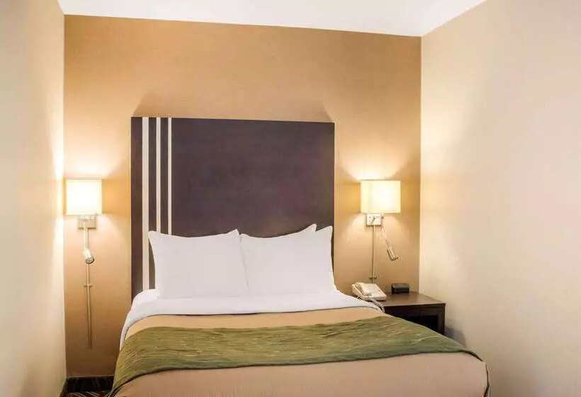 Отель Comfort Inn