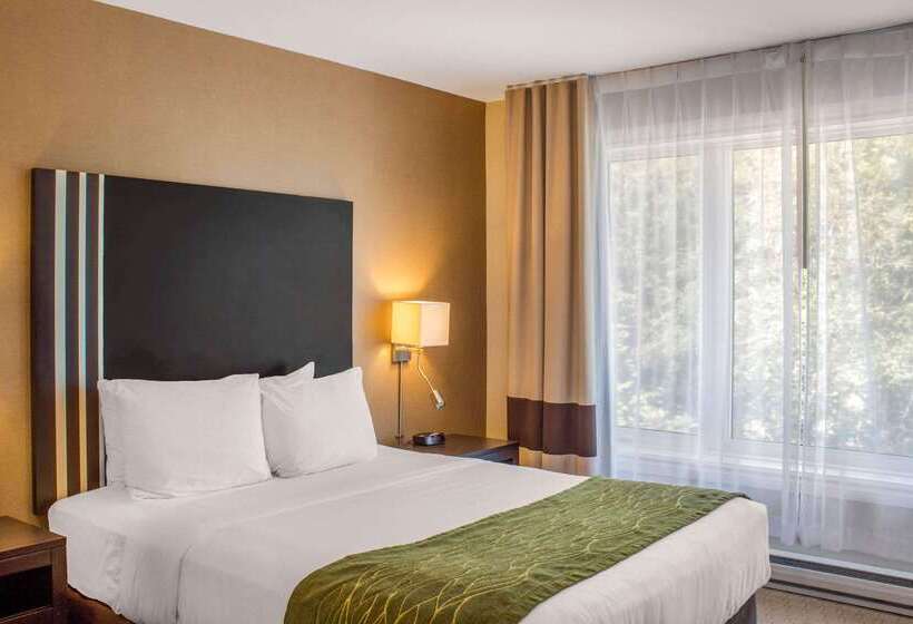 فندق Comfort Inn