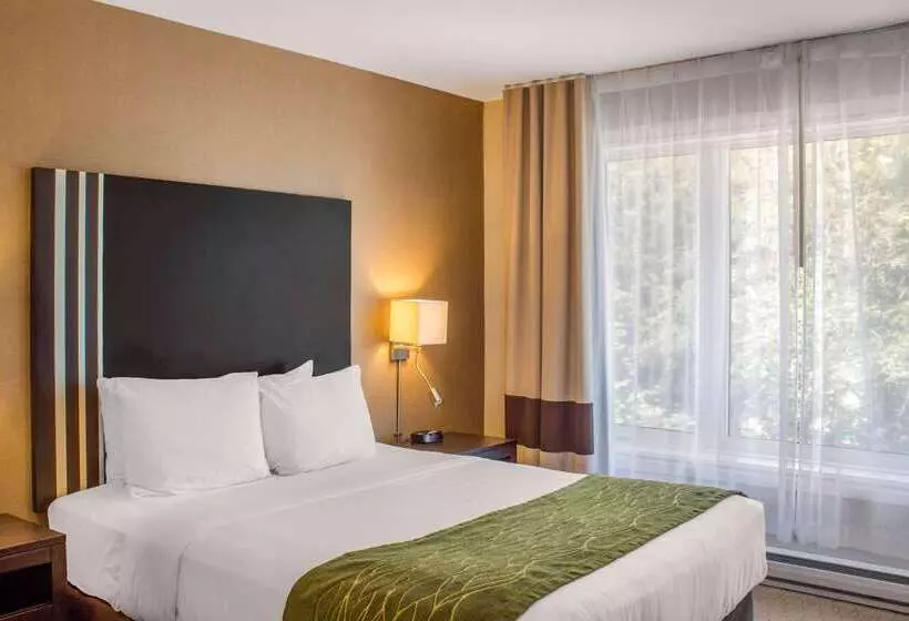 Отель Comfort Inn