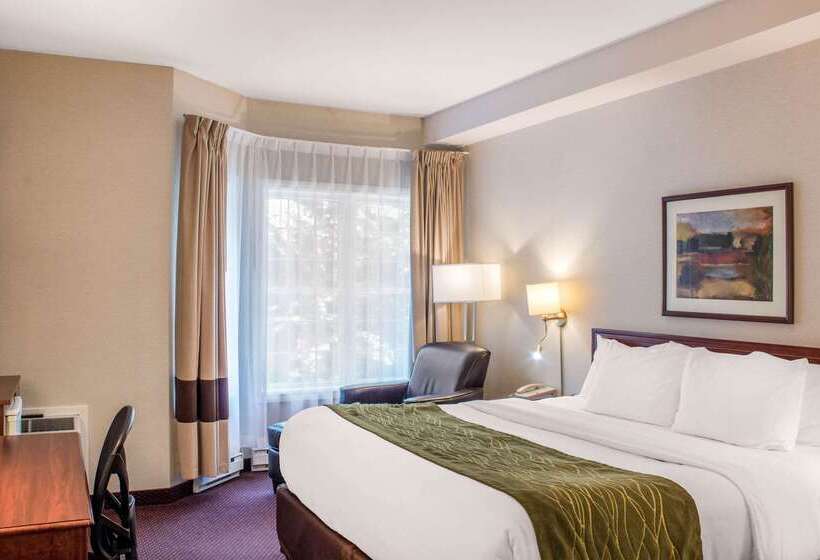 فندق Comfort Inn