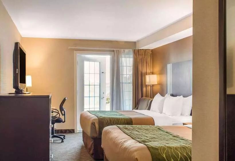 ホテル Comfort Inn