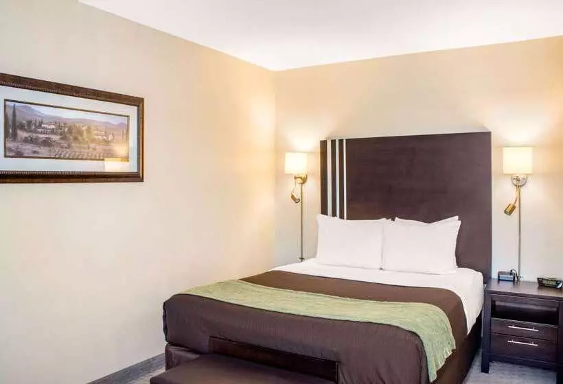 ホテル Comfort Inn