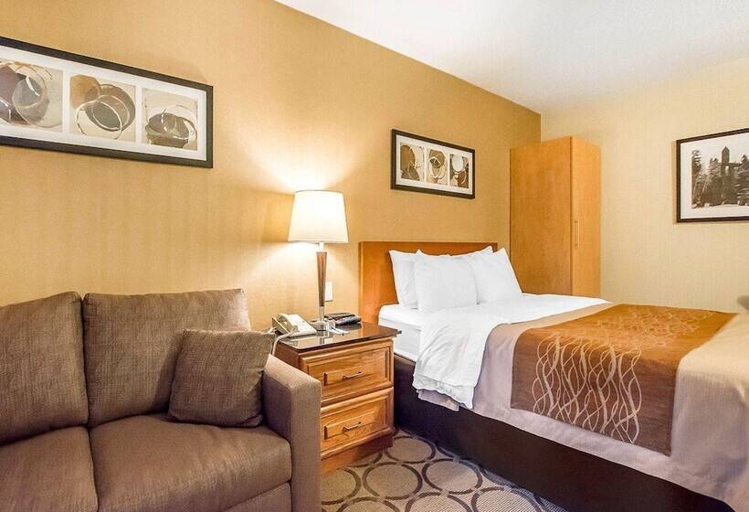 酒店 Comfort Inn Kirkland Lake