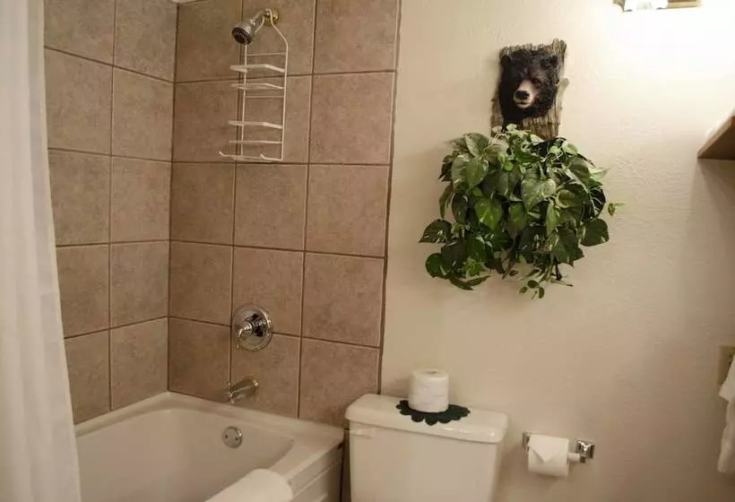 בית מלון כפרי Crandell Mountain Lodge