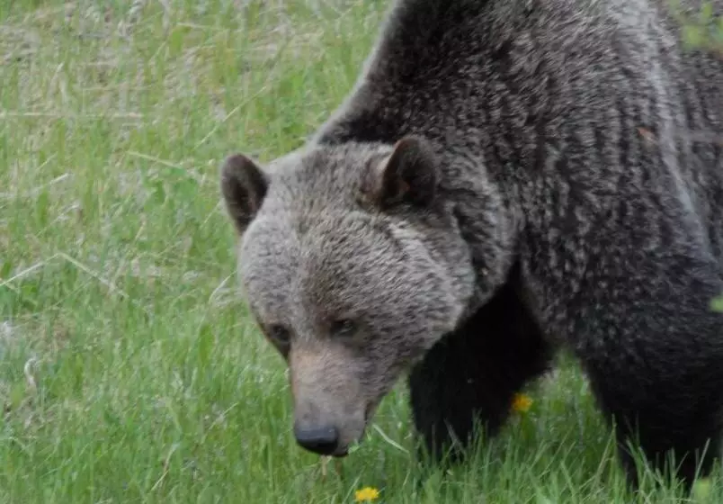 בית מלון כפרי The Georgetown Inn