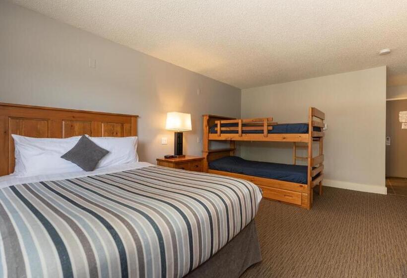 汽车旅馆 Red Tree Lodge