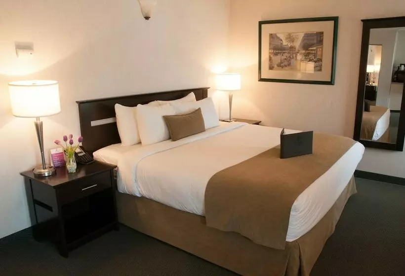 酒店 Coast High Country Inn