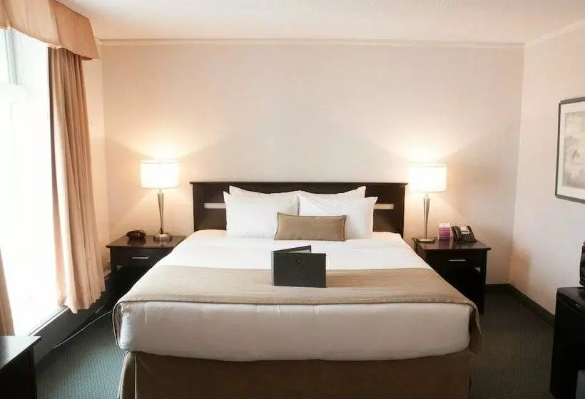 酒店 Coast High Country Inn