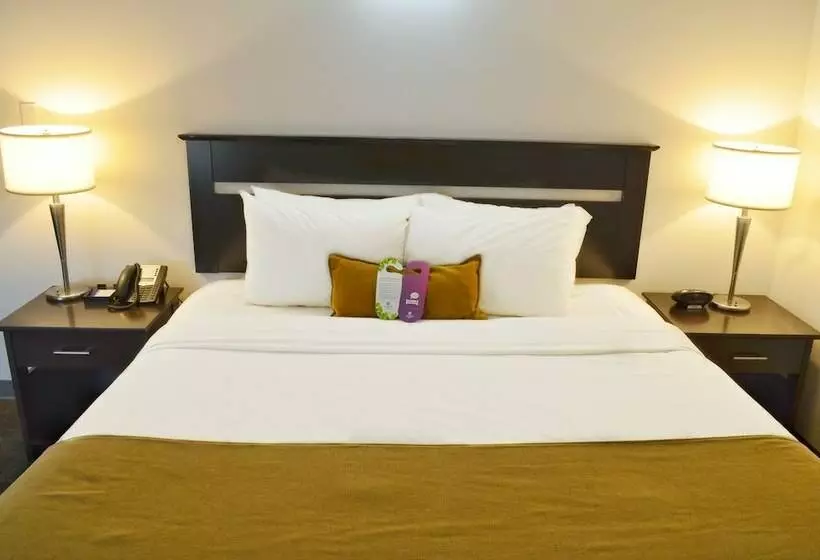 酒店 Coast High Country Inn