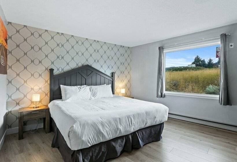 هتل The Vista Inn